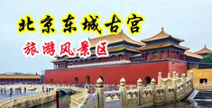美女舔我的大吊操的全是逼水中国北京-东城古宫旅游风景区